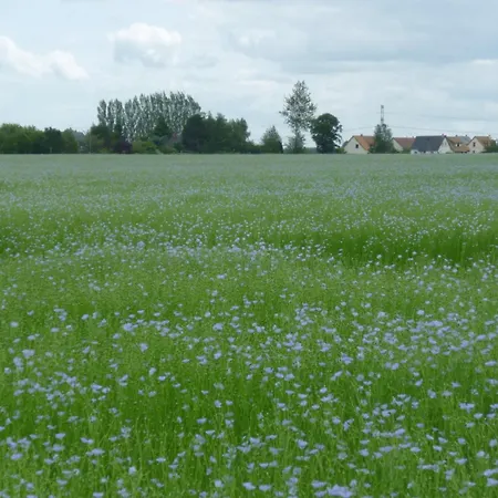 Pensión De L'abbaye Jumièges