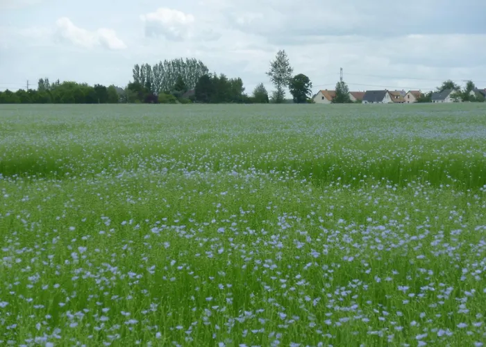 Maison d'hôtes De L'abbaye Jumièges
